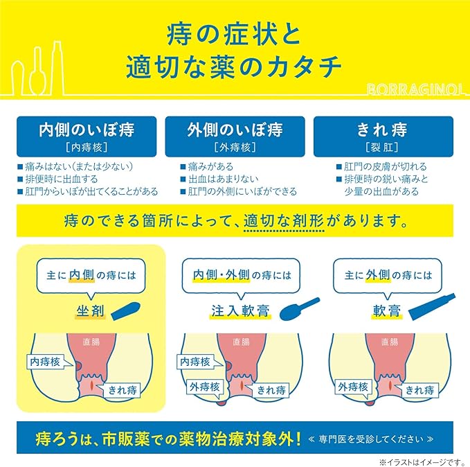 보라기놀A 좌약 20개입