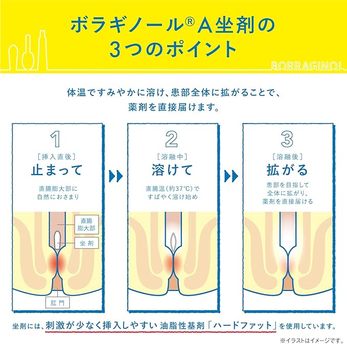 보라기놀A 좌약 20개입